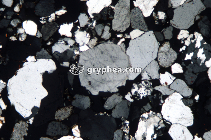 Grès à quartz engrené LPA x10 - gryphea.com
